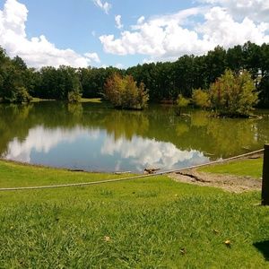 Meet your Posher, Angelina